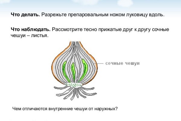 Onion ссылки даркнет